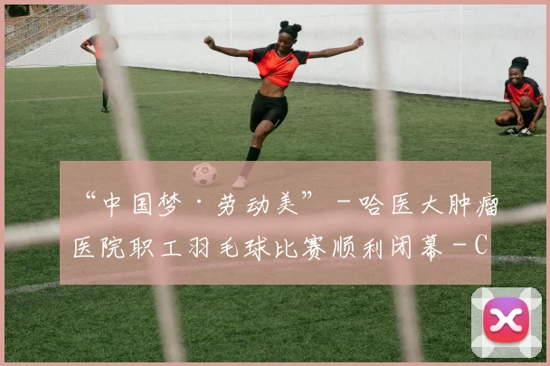 “中国梦·劳动美” - 哈医大肿瘤医院职工羽毛球比赛顺利闭幕 - Copy (14)